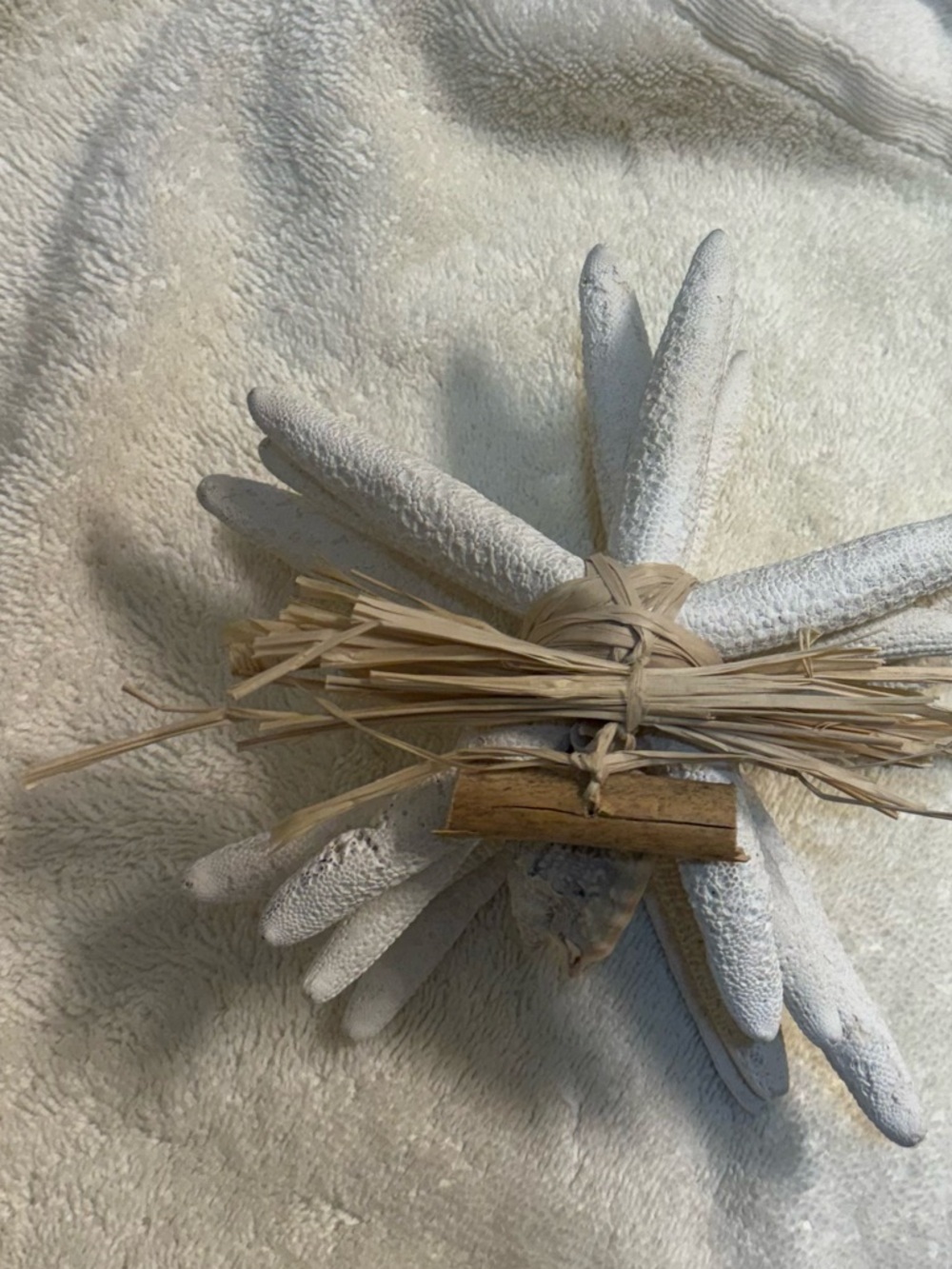 Set of 5 White Coral Starfish Bundle Decor Accent Coastal Beach Nautical NWOT